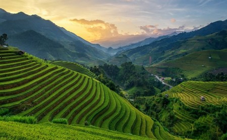 Mu Cang Chai